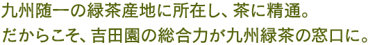 九州随一の緑茶産地に所在し、茶に精通。だからこそ、吉田園の総合力が九州緑茶の窓口に。